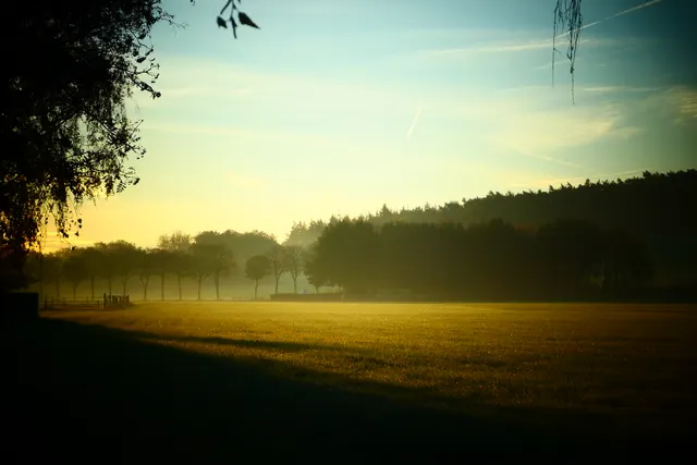 Evening light over an open field and distant tree line.
