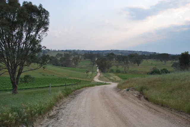 Rural gravel lane running through open fields and trees.